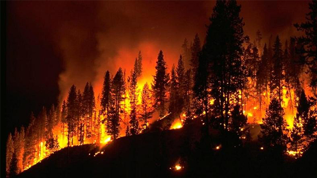 消防知識(shí) 丨 5種火災(zāi)不能用水撲救，你知道嗎？